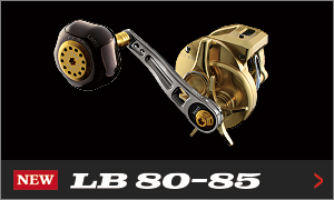 LB80-85