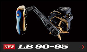 LB 90-95